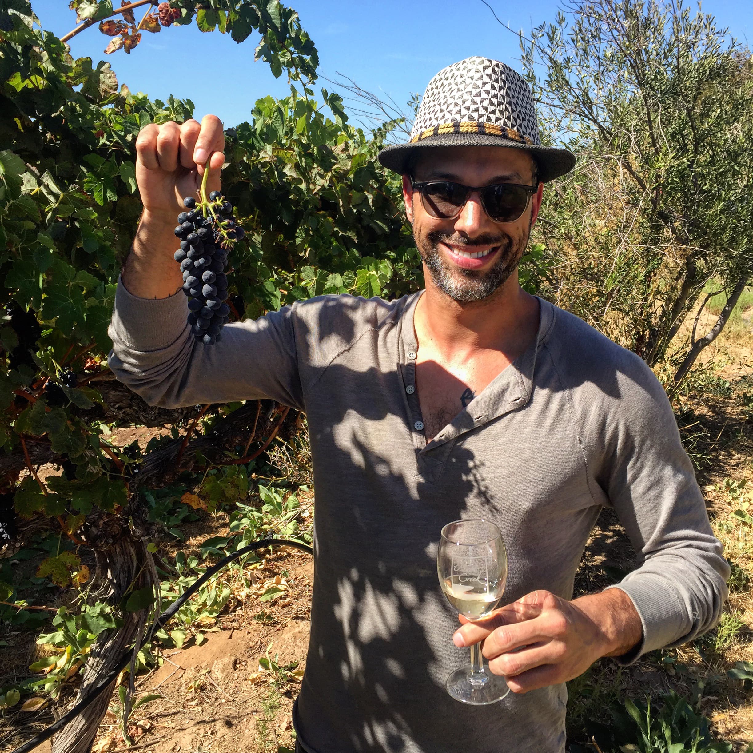 Rafe D'Amico, founder of Ozymandias Wines, standing among the vines at the vineyard