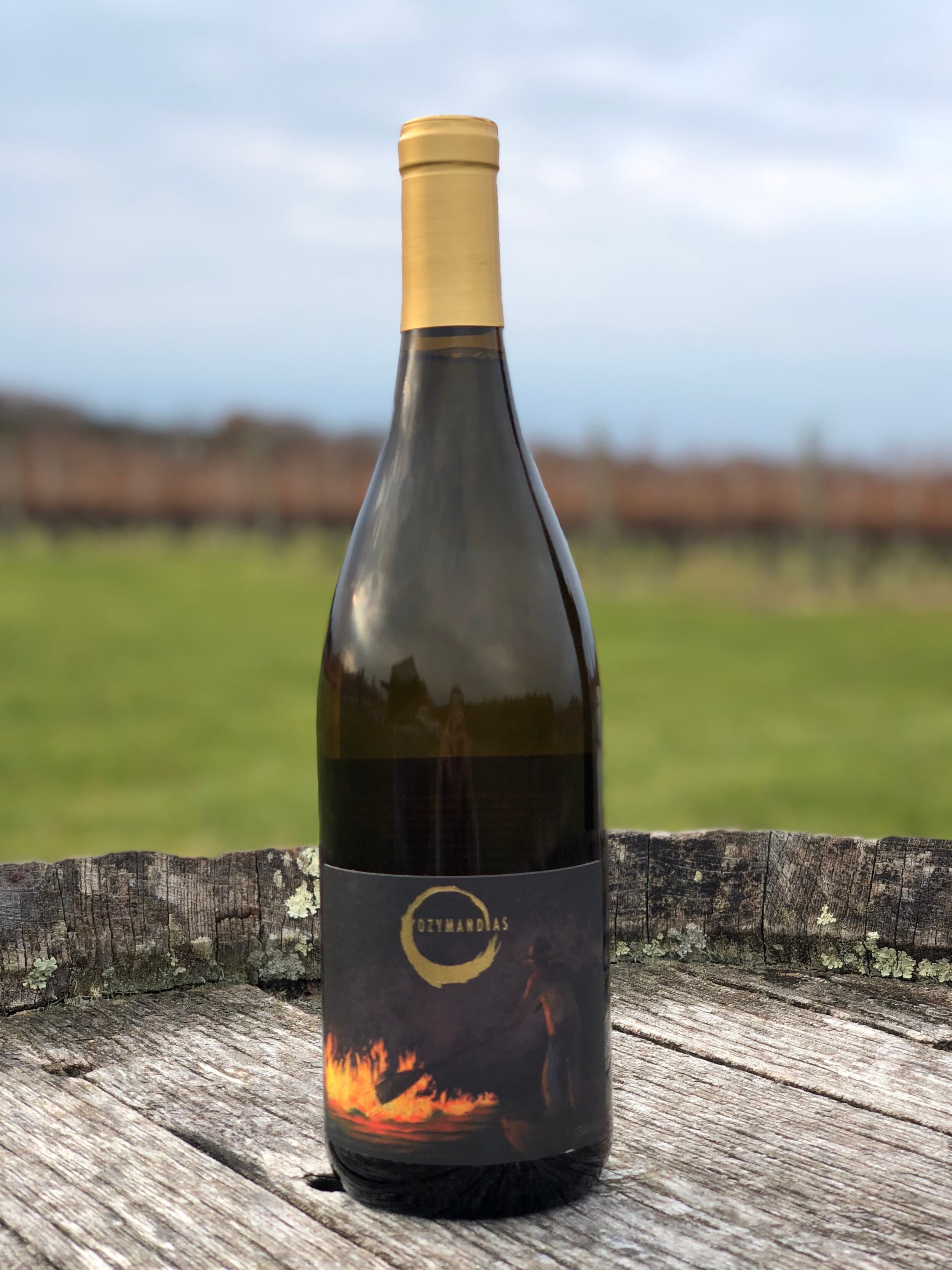 Close-up of the Burning River label featuring Briana Navarro's artwork